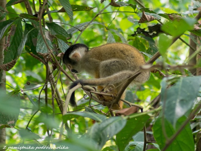 Boliwia Villa Tunari (7 of 18)