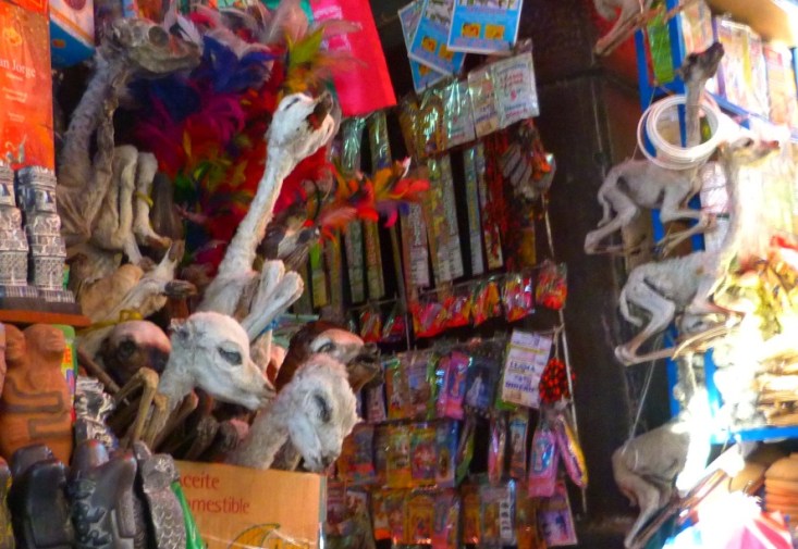 La Paz, Mercado de las brujas