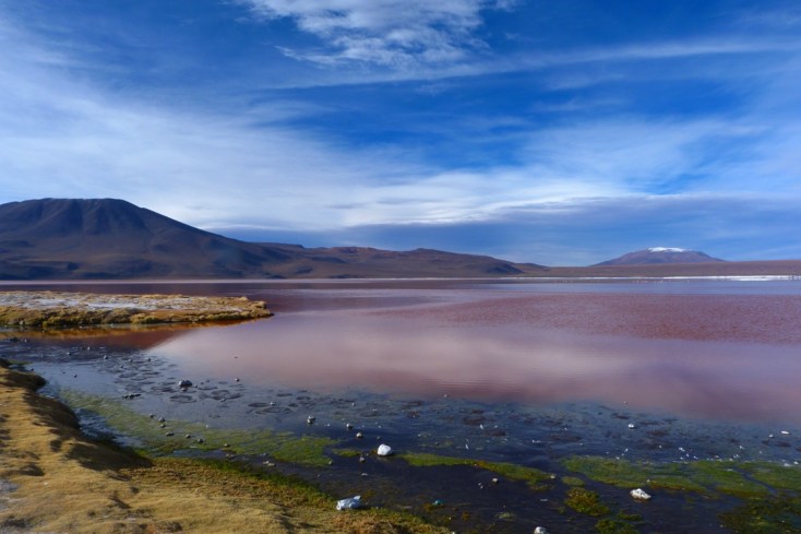 Okolice Salaru, laguny (2)