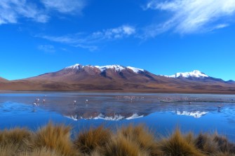 Okolice Salaru, laguny