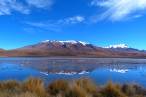 Okolice Salaru, laguny