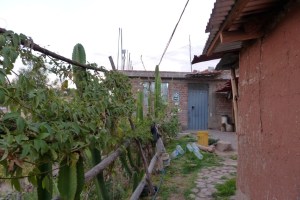 ...jak i w takich warunkach :)