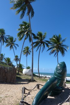 Bahia, rezerwat zólwi (2)