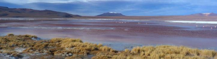 Boliwia Laguna Colorada 1