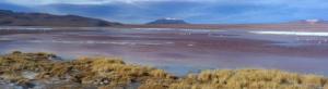 Boliwia Laguna Colorada 1