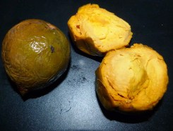 Lucuma