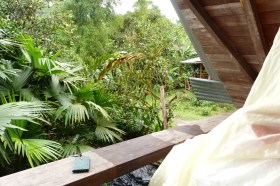 Mindo_Ekwador_hostel