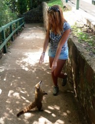 Przyjaciel w podróży ;)