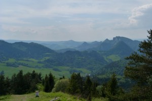 Szlak graniczny Pieniny Wysoki Wierch