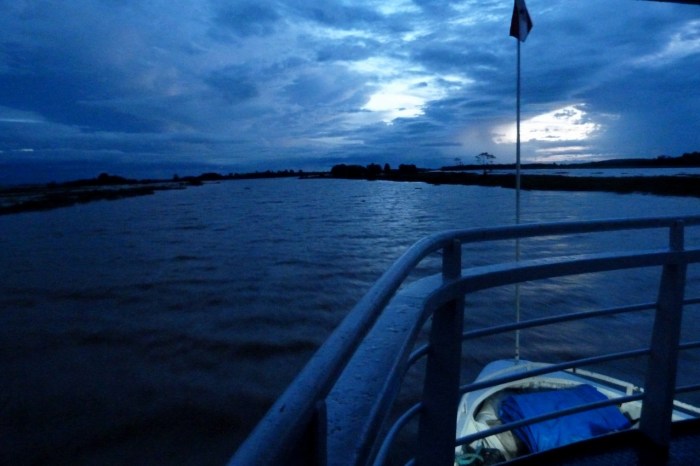 Amazonka brazylijska 20