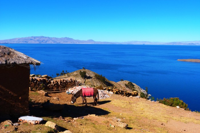 Jezioro Titicaca - Isla del Sol1