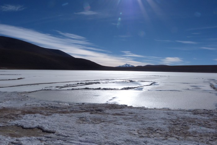 Laguny w okolicy Salaru (Rezerwat Eduardo Avaroa)
