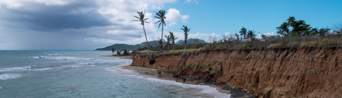 Vieques (5 of 1) — kopia