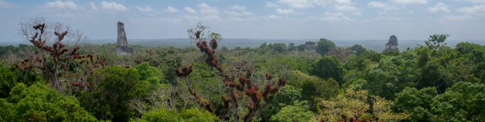 Tikal (8 of 1) — kopia