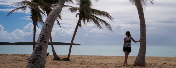 Vieques (1 of 1) — kopia