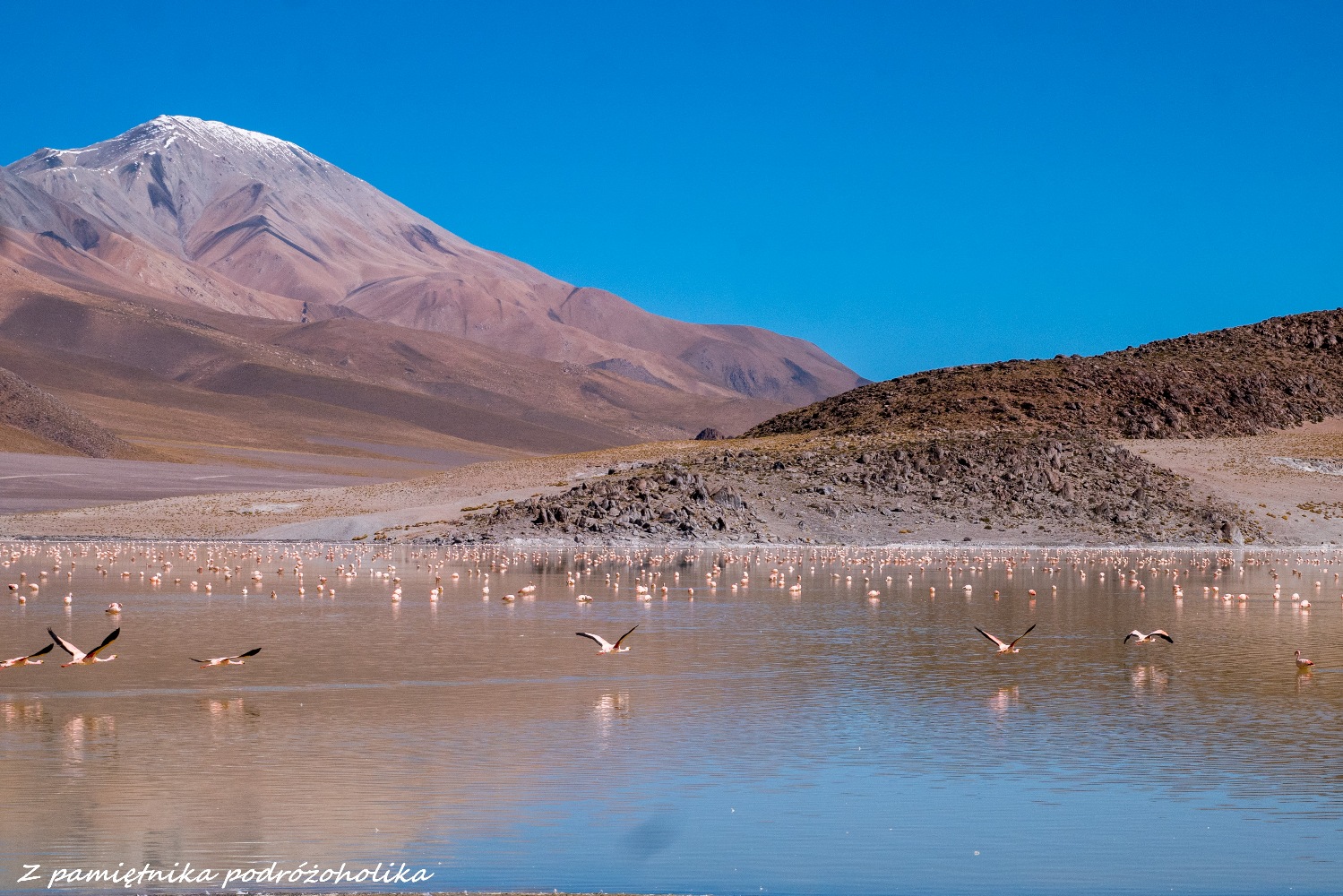 Antofagasta, Catamarca, Argentyna 2