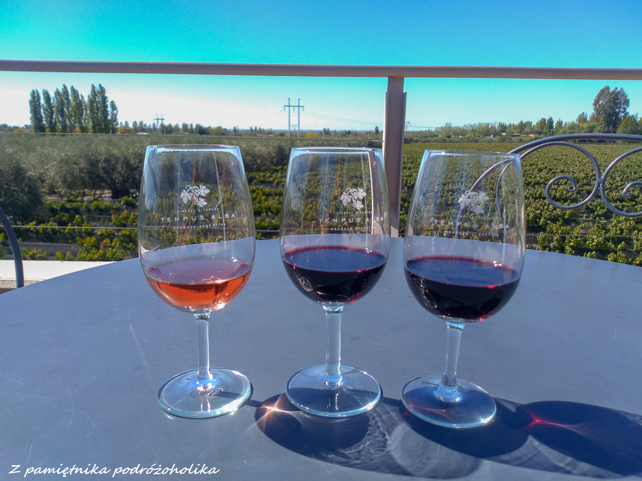 Argentina Mendoza wino (1 of 2)