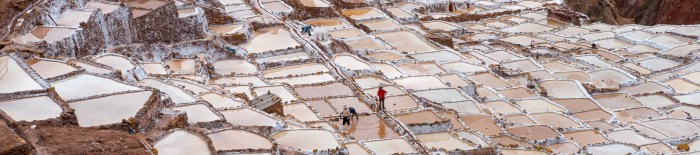 Maras solanki (8 of 10) — kopia