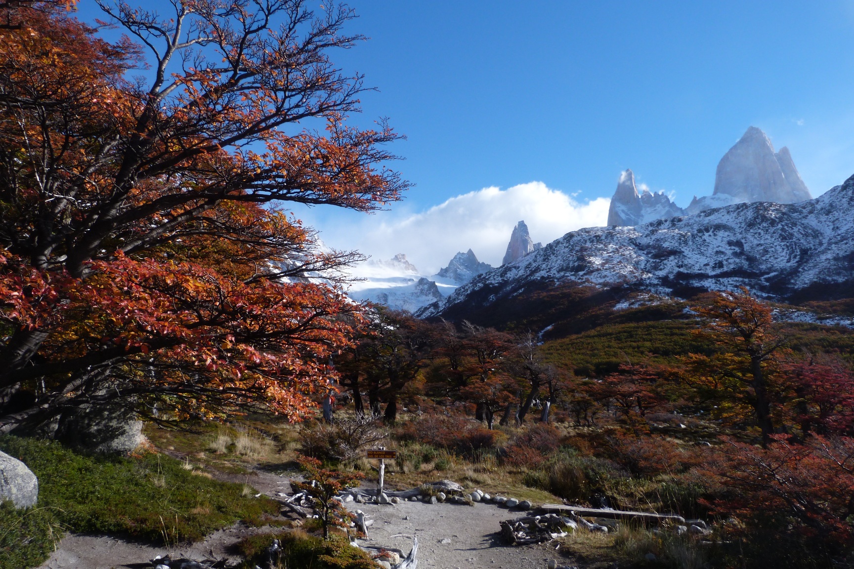 Patagonia, Fitz Roy (2)