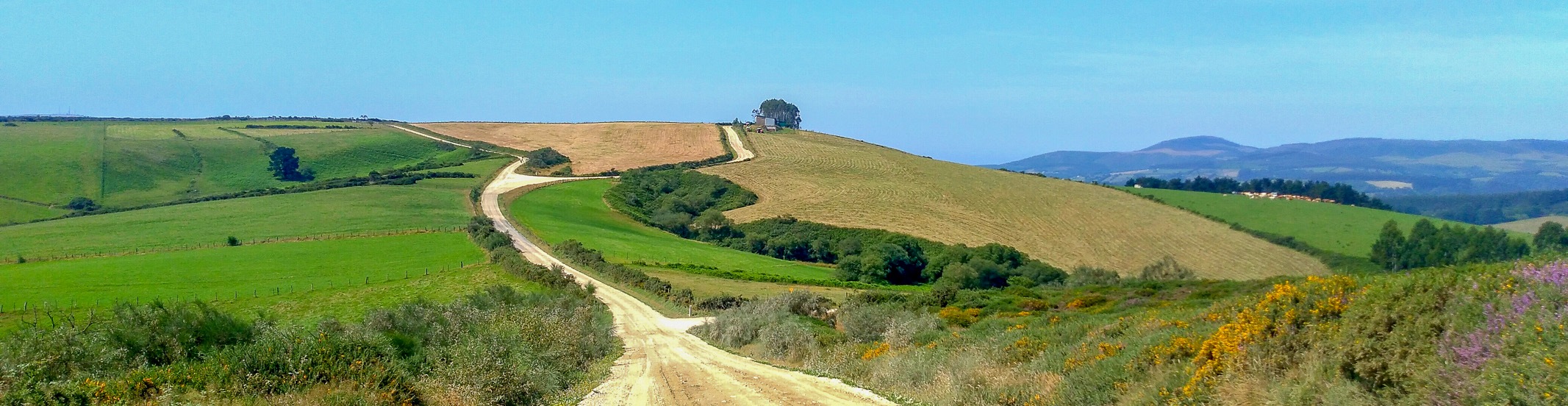 Camino de la costa 3 (17 of 22) — kopia