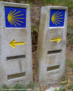 Camino de la costa 4 (22 of 26)