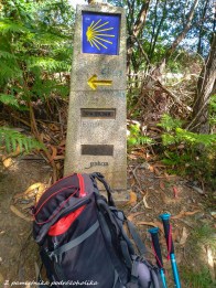 Camino de la costa 5 (10 of 23)