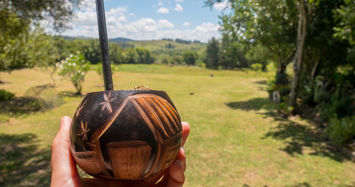 yerba mate